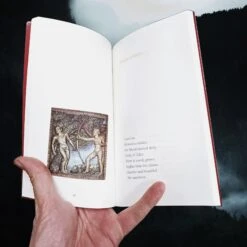 The Viking Prophecy Book - From The Voluspa 7 The Viking Prophecy Book - From The Voluspa -The Viking Dragon Shop bk viking prophecy book inside the fate of baldr