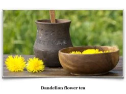 Eat Like A Viking Book By Craig Brooks -The Viking Dragon Shop eat like a viking dandelion flower tea