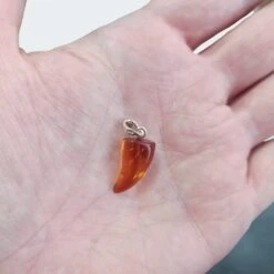 Amber Tooth Pendant With Silver Hanger -The Viking Dragon Shop eg amber tooth pendant with silver hanger on hand