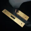19mm (0.75 Inch) Wide Brass Buckle Plate