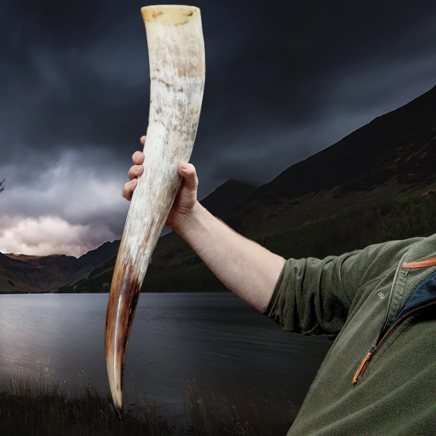 XL Extra Long Polished Viking Drinking Horn 3 XL Extra Long Polished Viking Drinking Horn - Image 3