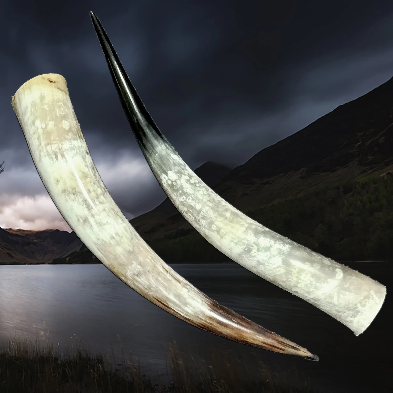 XL Extra Long Polished Viking Drinking Horn 1 XL Extra Long Polished Viking Drinking Horn