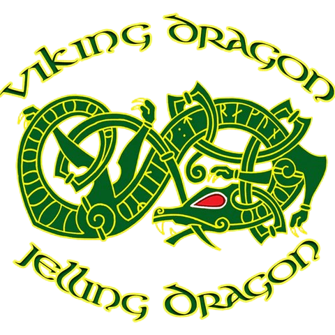 The Viking Dragon Shop