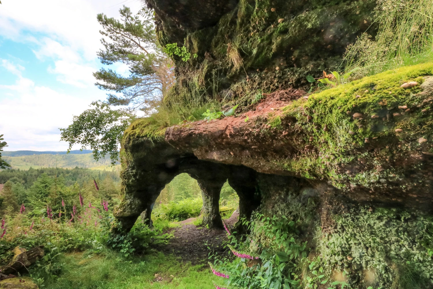 Magical France Book By Rob Wildwood 4 Magical France Book By Rob Wildwood - Image 4