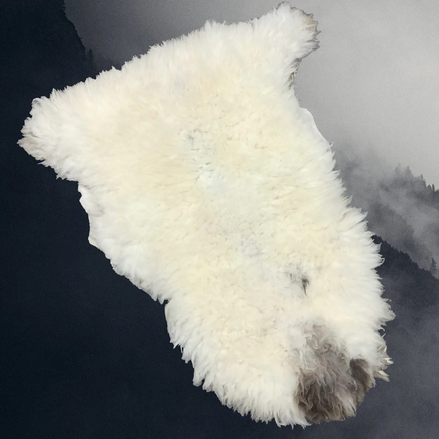 Large English Sheep Fleece Sheep Skin 1 Large English Sheep Fleece Sheep Skin