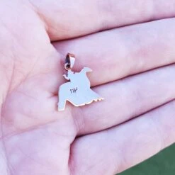 Sleipnir - Odin's Horse Pendant -The Viking Dragon Shop sn bronze sleipnir pendant on hand back view