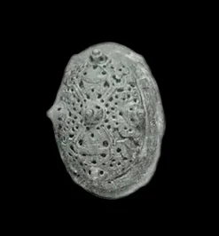 Bronze Viking Tortoise Brooches From Aland -The Viking Dragon Shop tortoise brooch original