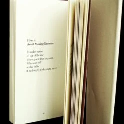 The Sayings Of The Viking Book - Hardback Version -The Viking Dragon Shop viking syaings book how to avoid making enemies